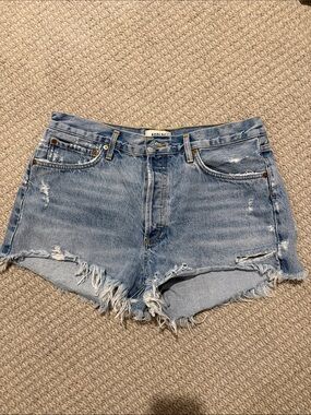 AGOLDE Parker Shorts in color Swapmeet